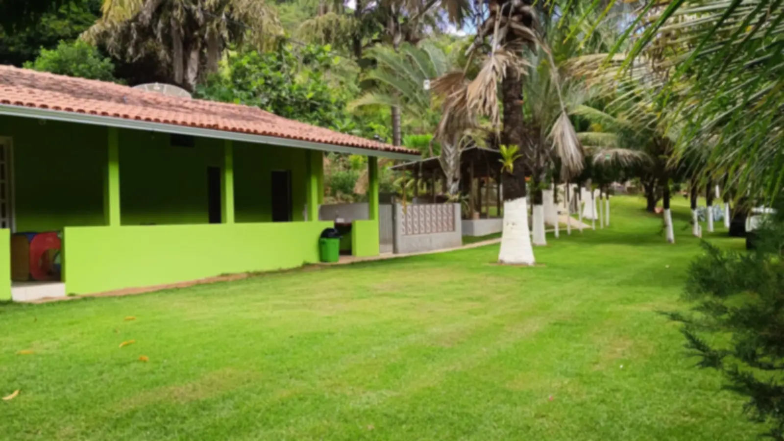 Área externa de uma unidade parceira, com gramado e árvores