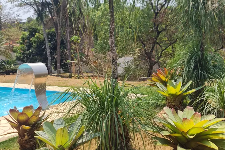 Área externa com piscina e plantas, em unidade de acolhimento da rede em Minas Gerais