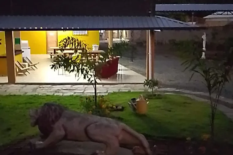 Jardim com área de convivência, em unidade de acolhimento da rede em Minas Gerais