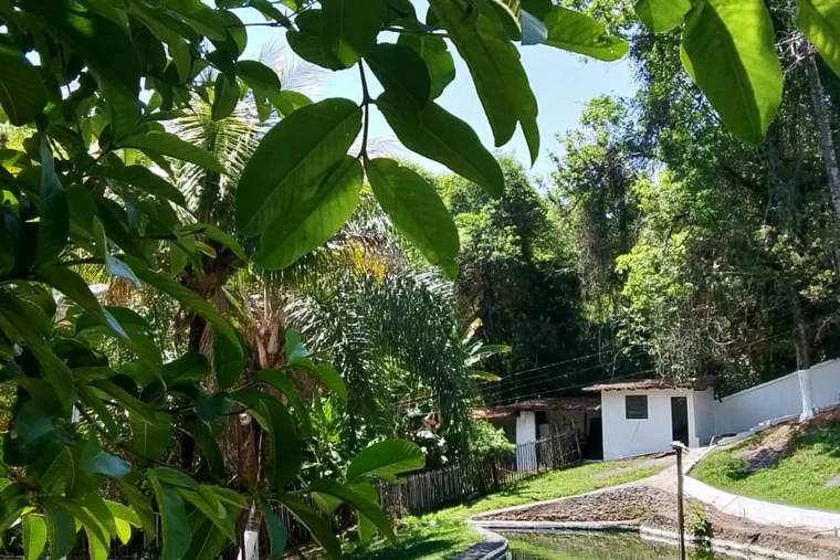 Vegetação e área externa tranquila, em unidade de acolhimento da rede em Minas Gerais