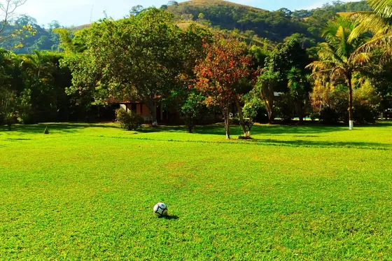 Clínica de reabilitação em Bambuí - MG Gramado com árvore e bola de futebol