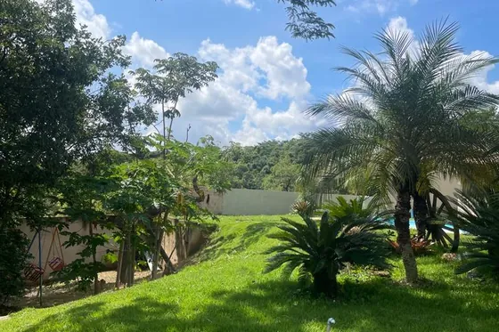 Jardim com grama e plantas