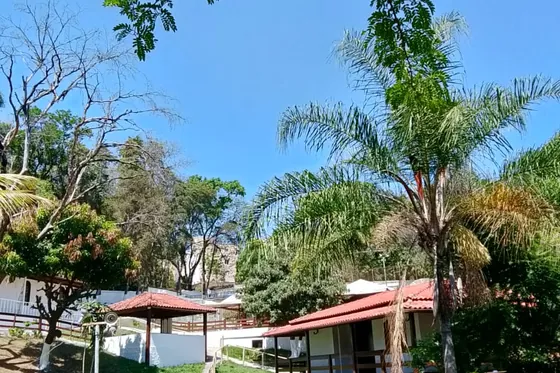 Fachada e área externa com árvores