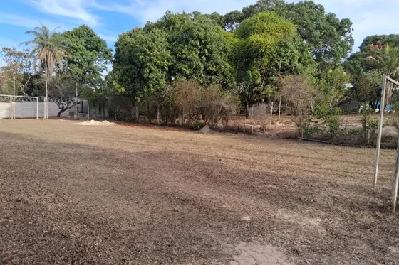Clínica de reabilitação em Iguatama - MG Área externa com grama e árvores