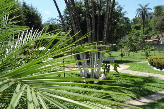 Clínica de reabilitação em Maravilhas - MG Jardim com plantas e árvores