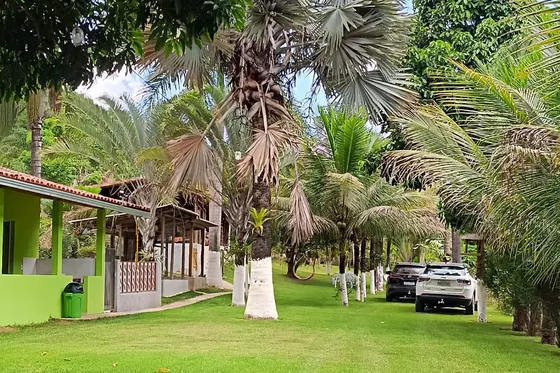 Clínica de reabilitação em Papagaios - MG Área externa com palmeiras e carros