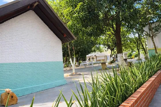 Fachada com jardim e árvores