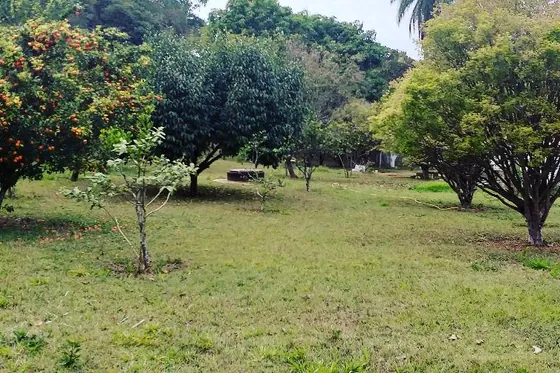 Clínica de reabilitação em Pitangui - MG Gramado com árvores frutíferas