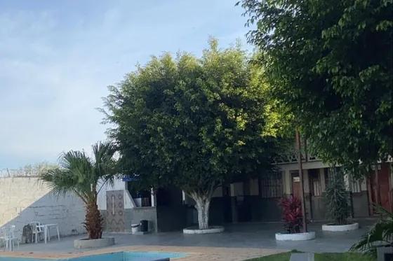 Área externa com piscina e árvores