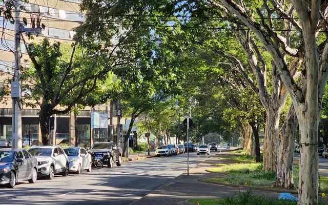 rua com árvores e veículos estacionados em Belo Horizonte