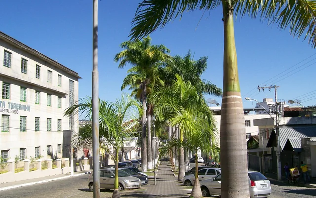 Rua com palmeiras e prédios ao fundo em Formiga
